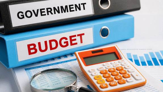Government & Public Sector